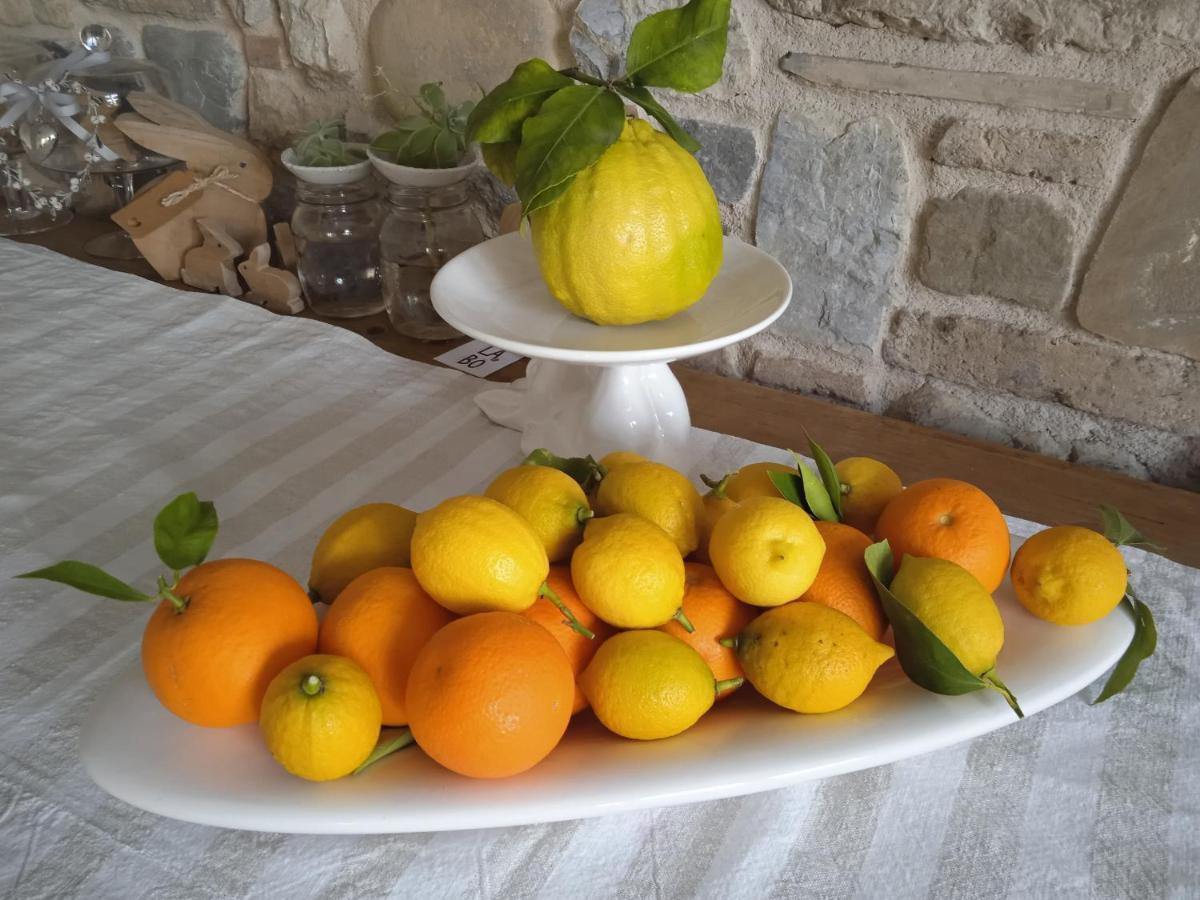 Il Fienile Bed & Breakfast Fagagna Dış mekan fotoğraf